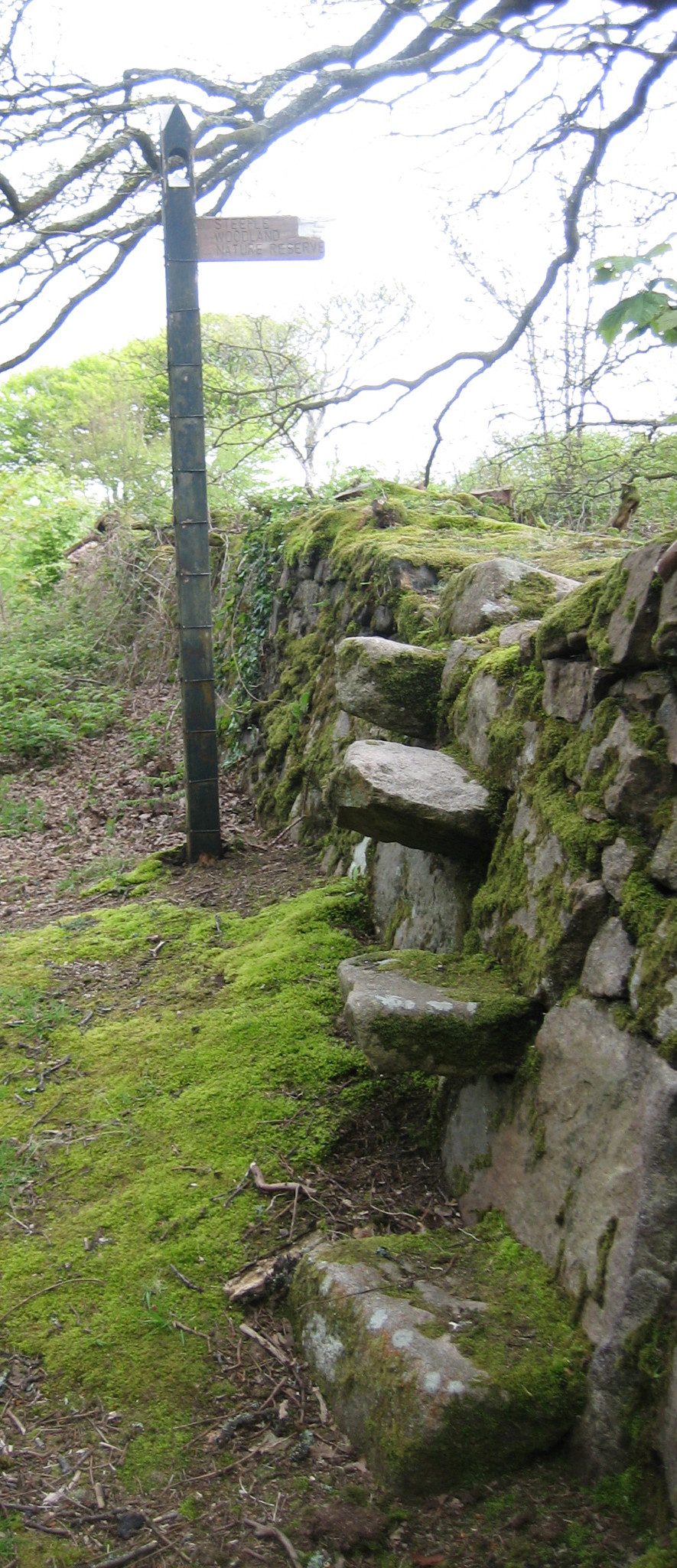 Site map signpost